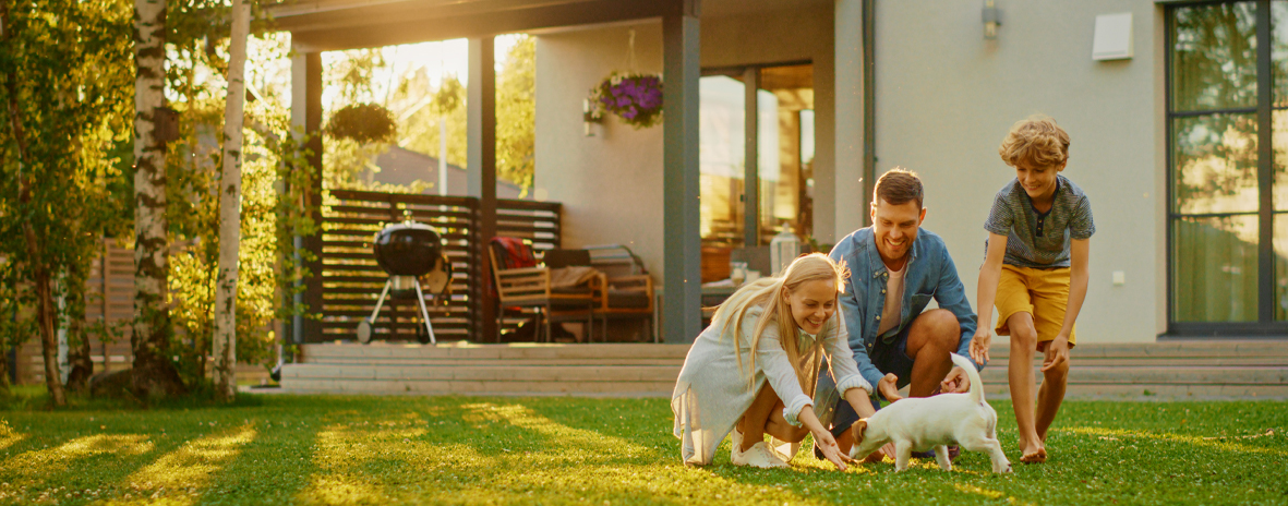 blog detail banner image