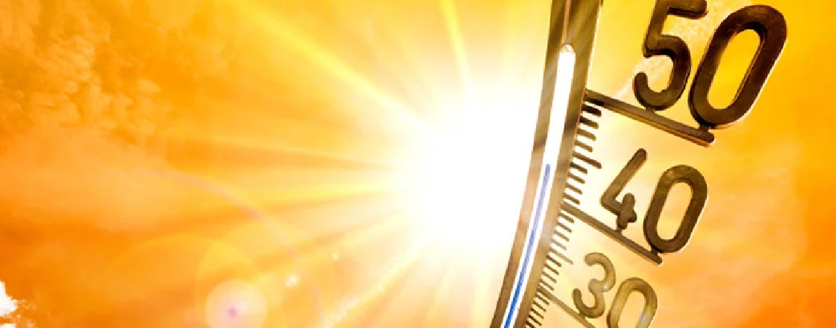 blog detail banner image